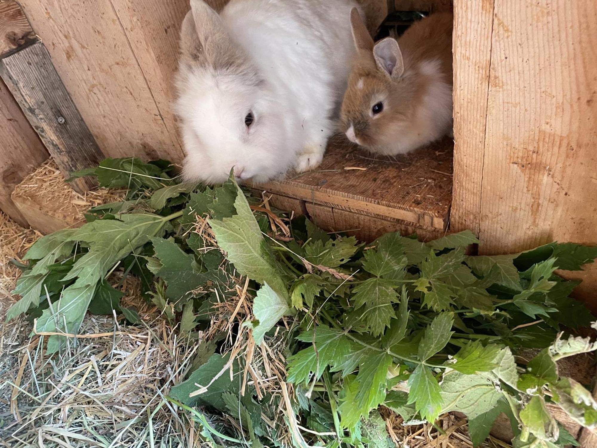 라 발레 Maierhof 빌라 외부 사진